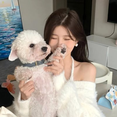 静静的生活封面