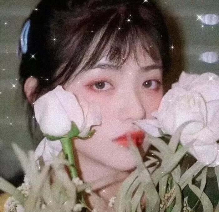 弱美男英雄第2季封面